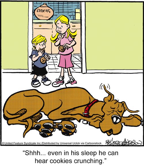 'Shhh. . . even in his sleep he can hear cookies crunching.