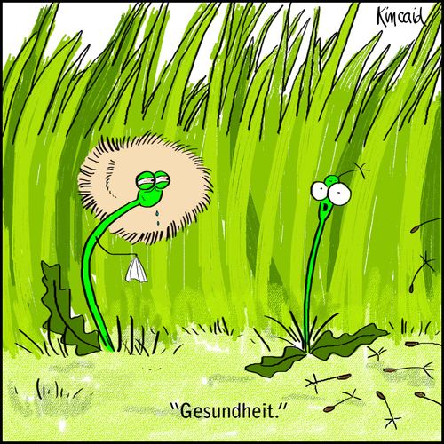 'Gesundheit'
