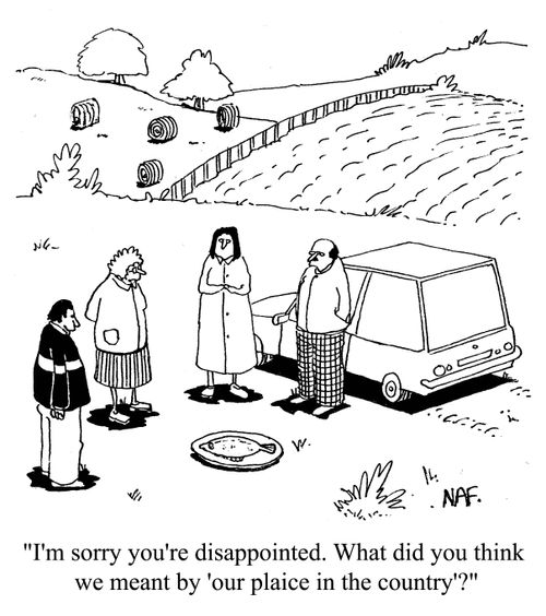 'I'm sorry you're disappointed. What did you think we meant by 'our plaice in the country'?'