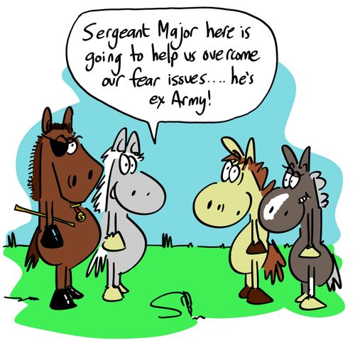 'Sergeant Major here is going to help us overcome our fear issues...he's ex Army!'