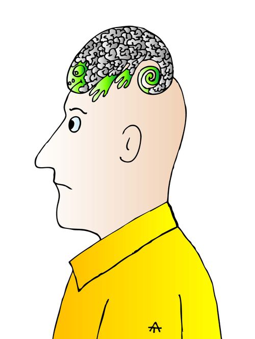 A man uses a chameleon as a toupee.