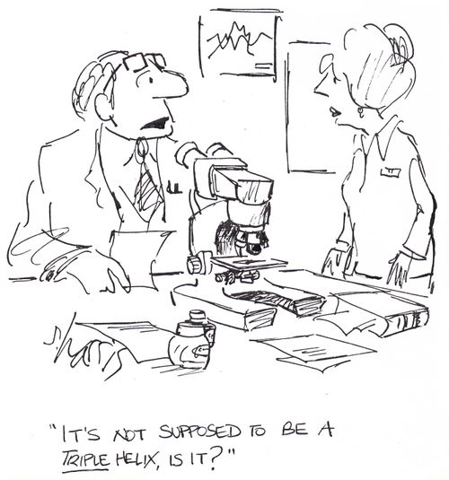 'It's not supposed to be a triple helix, is it?'