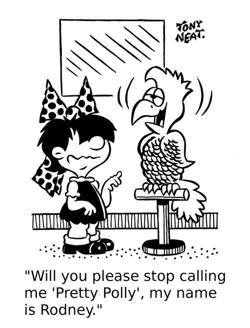 'Will you please stop calling me 'Pretty Polly', my name is Rodney.'