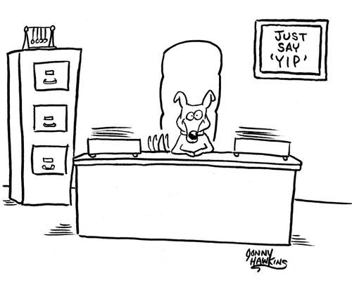 Little dog behind desk has sign: 'Just Say 'Yip''