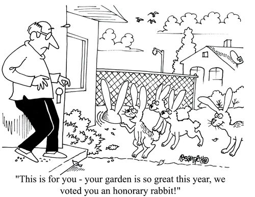 'This is for you - your garden is so great this year we voted you an honorary rabbit!'