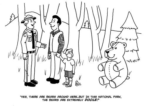"Yes, there are bears around here...but in this national park the bears are extremely docile!"