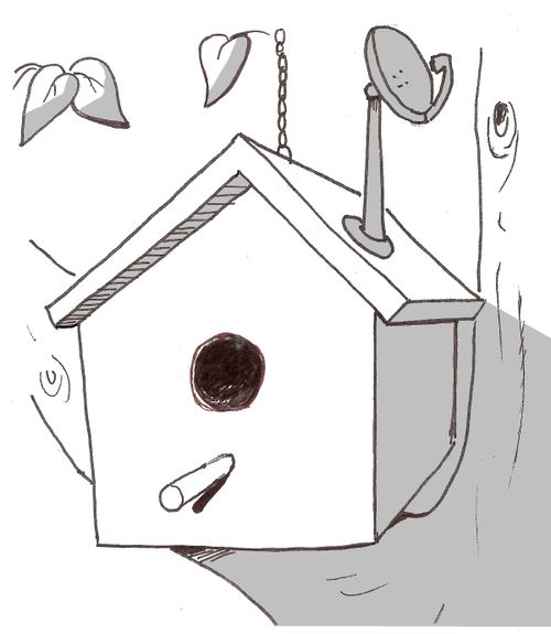 Birdhouse has satellite dish on its roof.