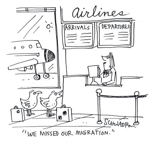 'We missed our migration.'