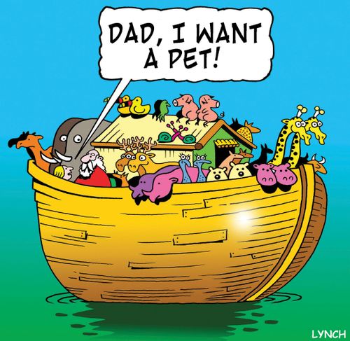 Dad, I want a pet!