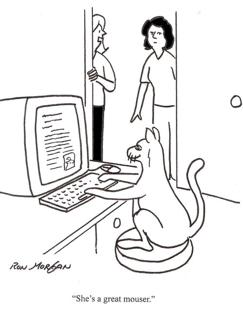 Woman says cat is a great mouser.