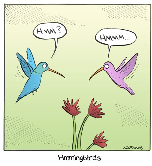 Hmmingbirds.
