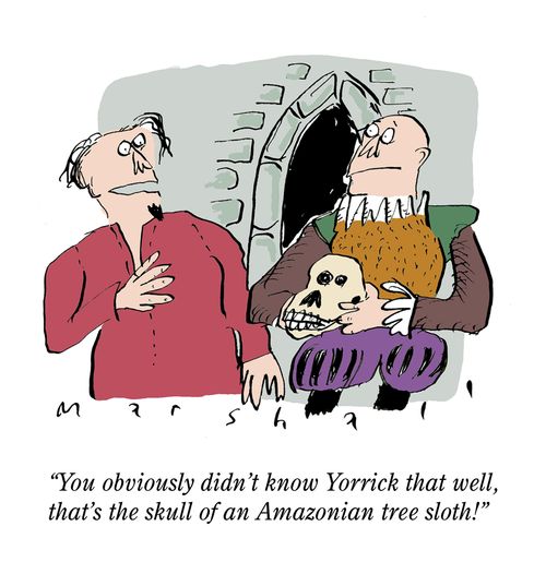 "You obviously didn't know Yorrick that well, that's the skull of an Amazonian tree sloth!"