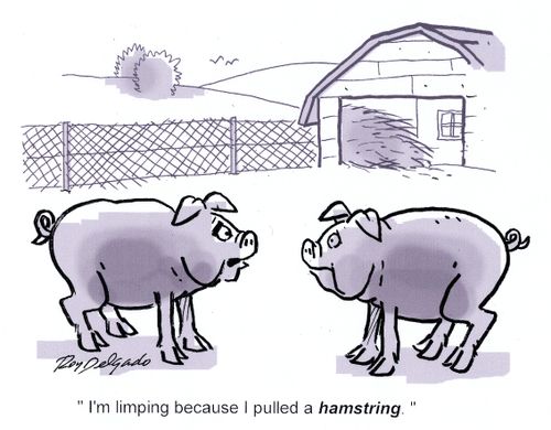 'I'm limping because I pulled a hamstring.'