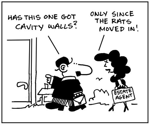 'Has this one got cavity walls?' - 'Only since the rats moved in.'