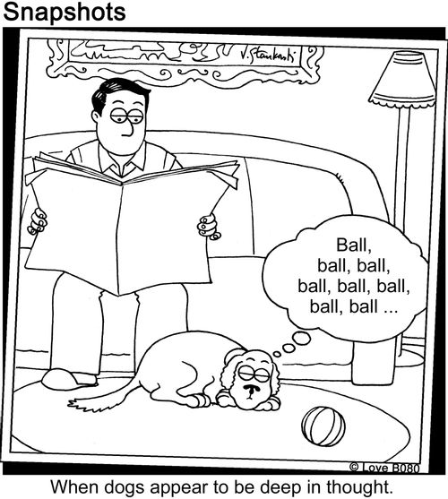 When Dogs Appear To Be Thinking.