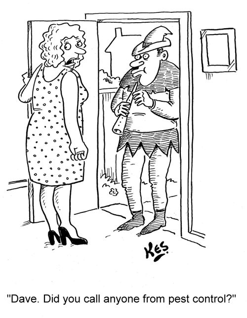 'Dave. Did you call anyone from pest control?'