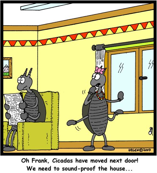 'Oh Frank, Cicadas have moved next door. We need to sound-proof the house...'