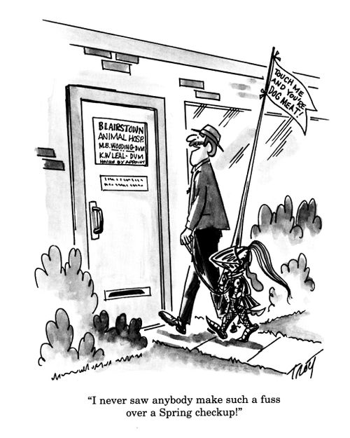'I never saw anybody make such a fuss over a Spring checkup!'