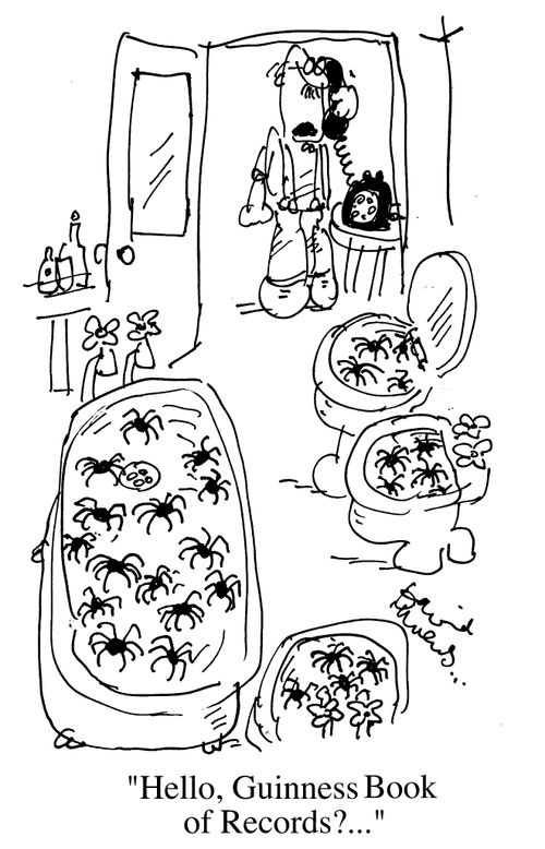 Spiders all over the place, "Hello, Guiness book of records?"