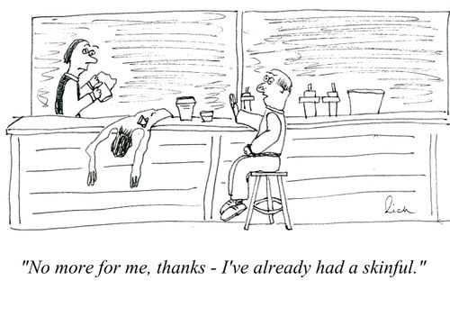 'No more for me, thanks - I've already had a skinful.'
