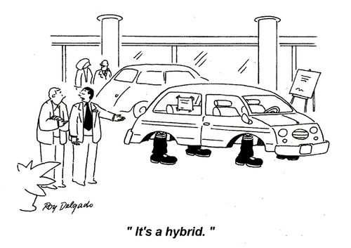 'It's a hybrid.'