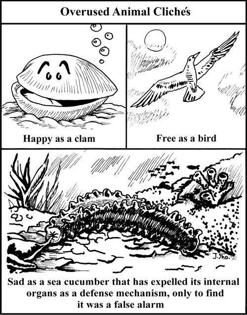 Overused Animal Cliches