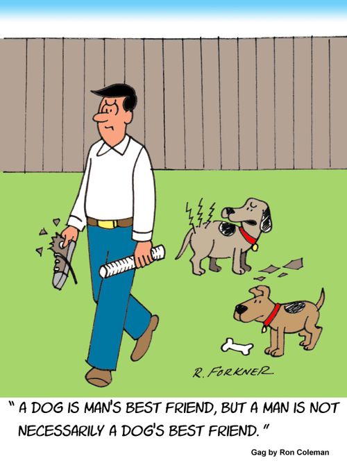 "A dog is man's best friend, but a man is not necessarily a dog's best friend."