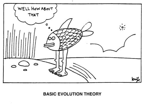 Basic Evolution Theory - "Well how about that."