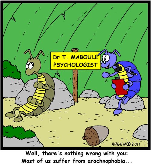 'Well, there's nothing wrong with you: Most of us suffer from arachnophobia...'