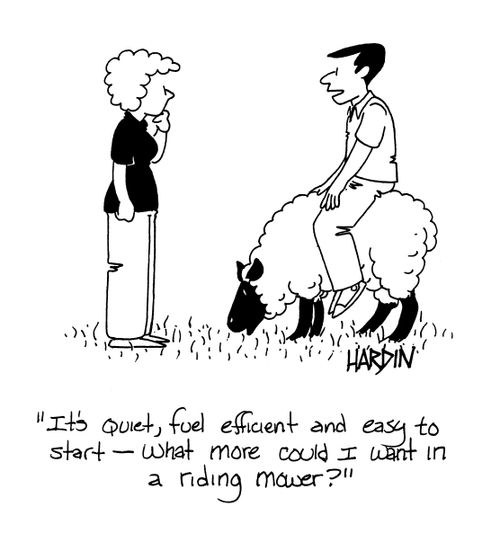 'It's quite, fuel efficient and easy to start - what more could I want in a riding mower?'