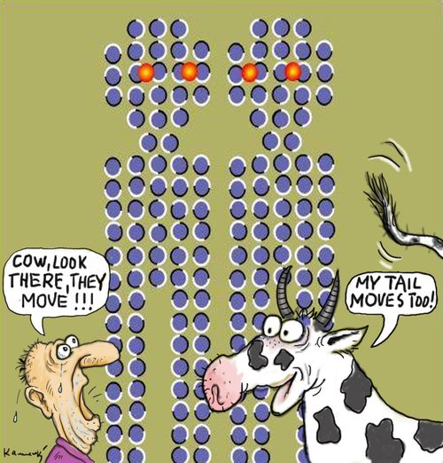 'Cow, look there, they move!!!'
