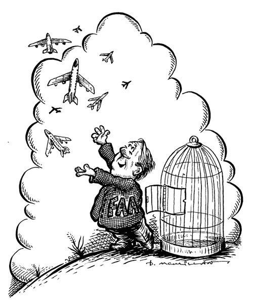FAA man letting planes out of bird cage