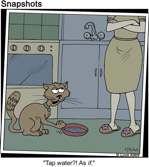 "Tap water?! As if."