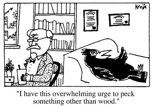 "I have this overwhelming urge to peck something other than wood."