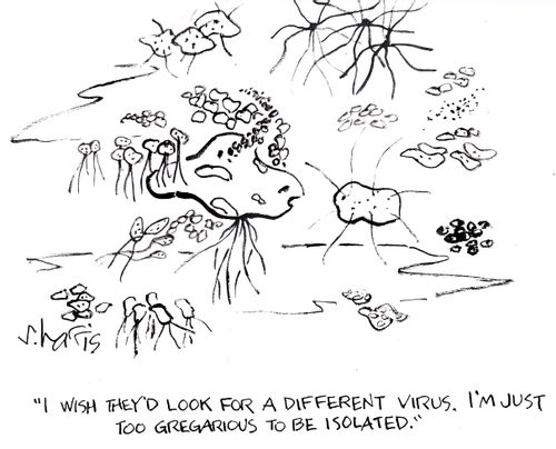 'I wish they'd look for a different virus. I'm just too gregarious to be isolated.'