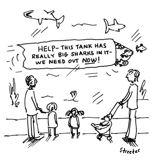 Aquarium Distress Call.