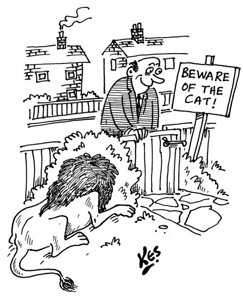 Man reads sign: 'Beware of the cat' as lion hides behind a bush.