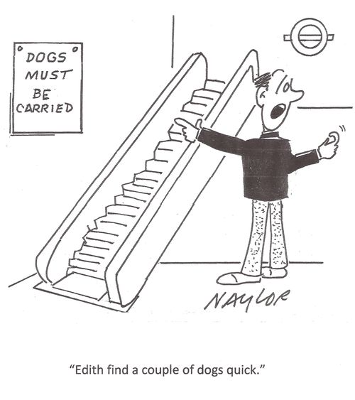 'Edith find a couple of dogs quick.'