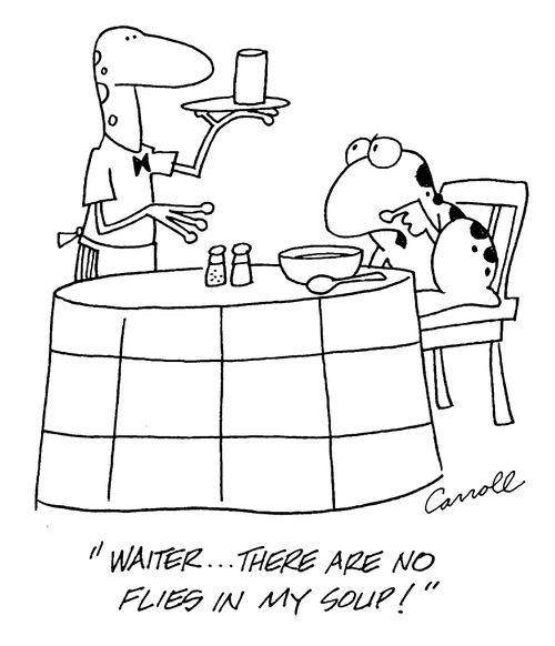 "Waiter, there are no flies in my soup!"