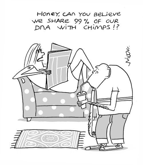 'Honey, can you believe we share 99% of our DNA with chimps!?'