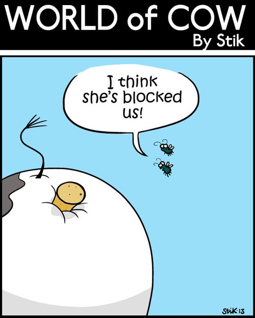 'I think she's blocked us!'
