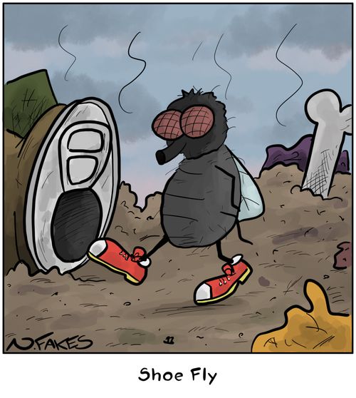 Shoe Fly