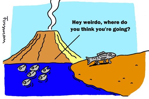 'Hey weirdo, where do you think you're going?'