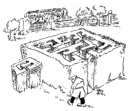 Maze Toilet