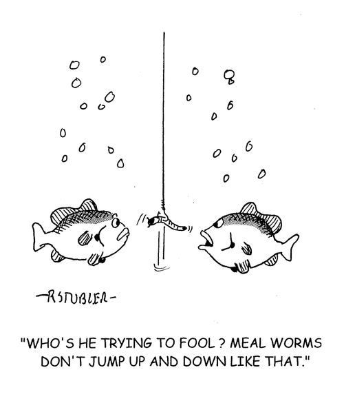 'Who's he trying to fool? Meal worms don't jump up and down like that.'