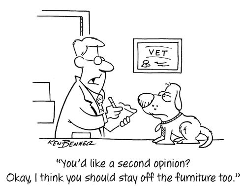 "You'd like a second opinion? Okay, I think you should stay off the furniture too."