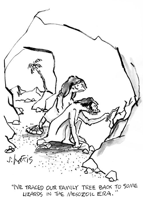 'I've traced our family tree back to some lizards in the Mesozoic era.'