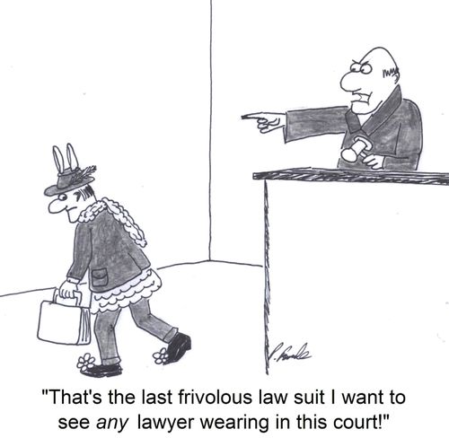 'That's the last frivolous law suit I want to see any lawyer wearing in this court!'