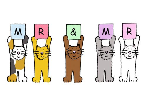 Gay Marriage Mr and Mr