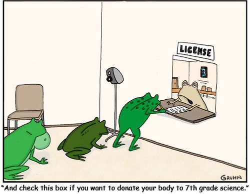 "And check this box if you want to donate your body to 7th grade science."